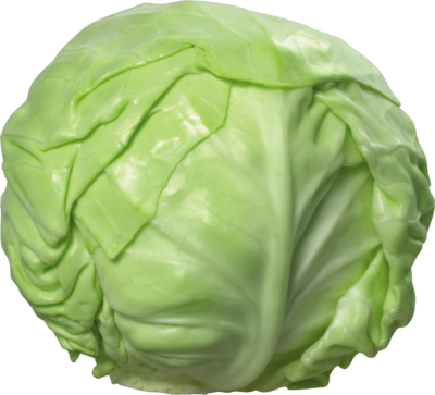 蔬菜PNG素材 卷心菜透明元素图