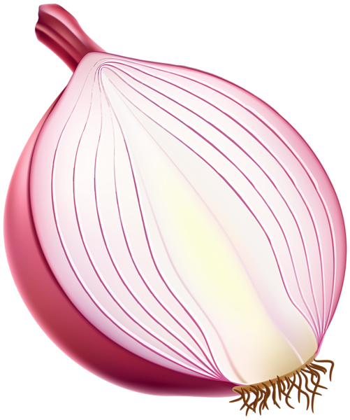 免费蔬菜透明元素图 Onion洋葱PNG图片