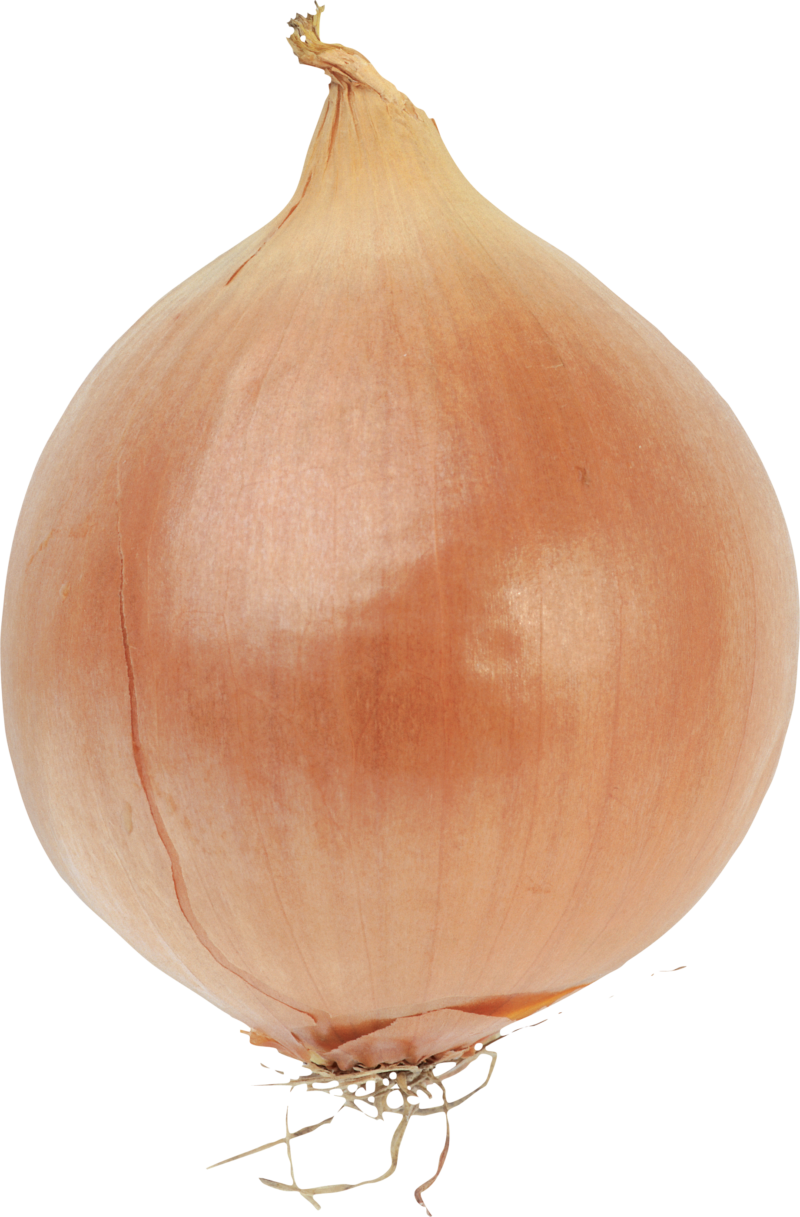 蔬菜免抠素材 洋葱高清透明PNG